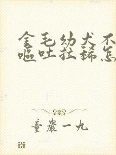 金毛幼犬不吃食呕吐拉稀怎么办