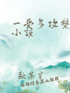 一受多攻双男主小说