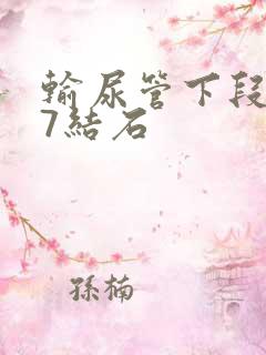 输尿管下段0.7结石