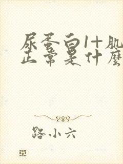 尿蛋白1+肌酐正常是什么原因?