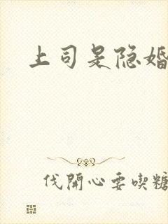 上司是隐婚老公