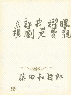 《许我耀眼》电视剧免费观看