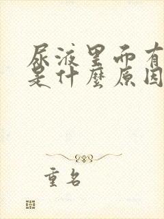 尿液里面有泡沫是什么原因