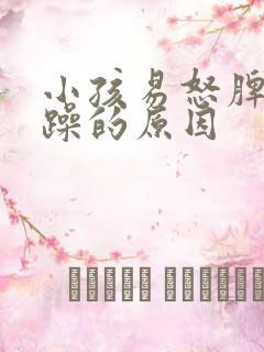 小孩易怒脾气暴躁的原因