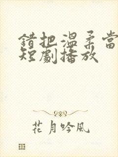 错把温柔当情深短剧播放