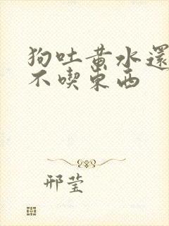 狗吐黄水还拉稀不吃东西