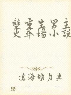 双重生男主追妻火葬场小说推荐