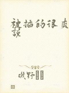 被插的很爽的小说