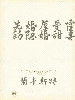 先婚厚爱霍先生的隐婚甜妻