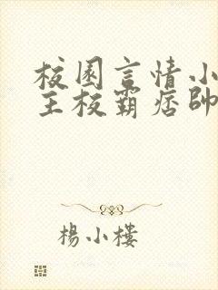 校园言情小说男主校霸痞帅