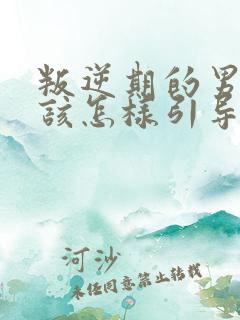 叛逆期的男孩子该怎样引导教育