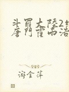 斗罗大陆2绝世唐门霍雨浩小说