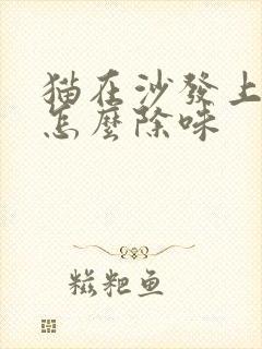 猫在沙发上尿了怎么除味