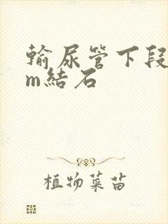 输尿管下段6mm结石