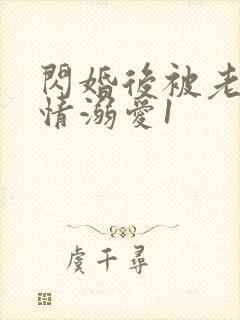 闪婚后被老公深情溺爱1