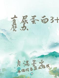 有尿蛋白3+怎么办