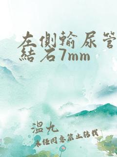 左侧输尿管下段结石7mm