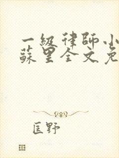 一级律师小说木苏里全文免费阅读