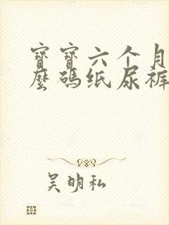 宝宝六个月用什么码纸尿裤