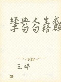 经典人生感悟句子句句精辟