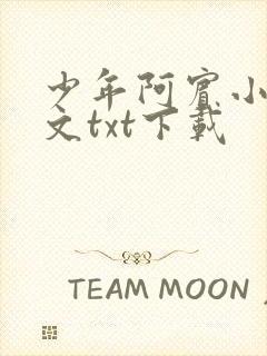 少年阿宾小说全文txt下载