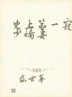 史上第一宠婚慕少娇妻