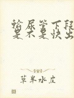 输尿管下段结石是不是快出来了