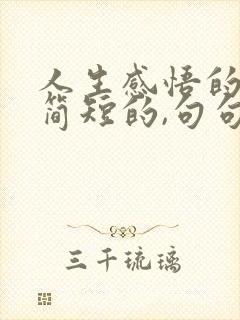 人生感悟的句子简短的,句句精辟现实