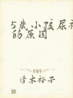 5岁小孩尿裤子的原因