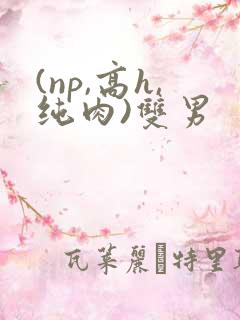 (np,高h,纯肉)双男