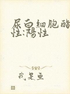 尿白细胞酯酶阳性:阳性