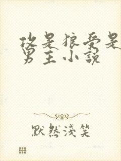 攻是狼受是人双男主小说