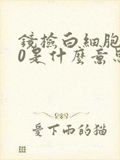 镜检白细胞>30是什么意思