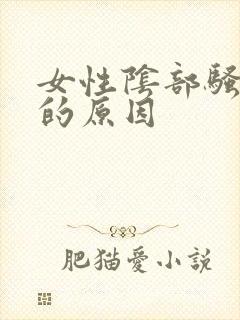 女性阴部骚味大的原因