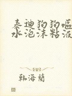 泰迪狗狗呕吐黄水泡沫粘液怎么办