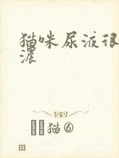 猫咪尿液很黄很浓