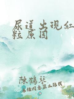 尿道出现红色肉粒原因