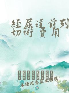 经尿道前列腺电切术 费用