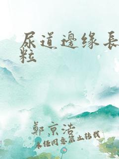 尿道边缘长小肉粒