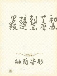 男孩到了初中很叛逆怎么办