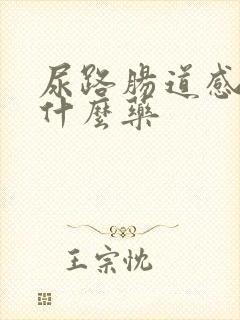 尿路肠道感染吃什么药