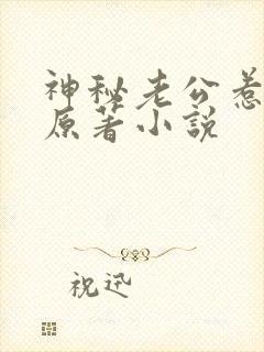 神秘老公惹不起原著小说