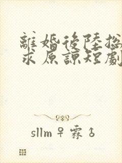 离婚后陆总跪着求原谅短剧95