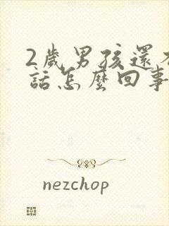 2岁男孩还不说话怎么回事