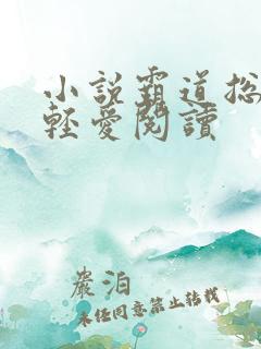 小说霸道总裁轻轻爱阅读