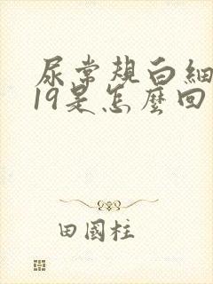 尿常规白细胞119是怎么回事