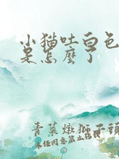 小猫吐白色粘液是怎么了