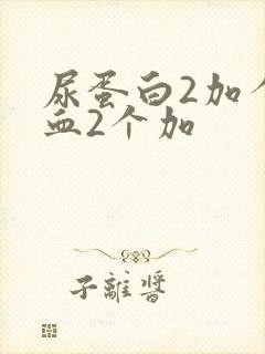 尿蛋白2加个潜血2个加