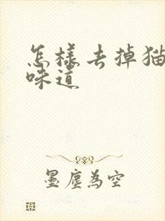 怎样去掉猫尿的味道