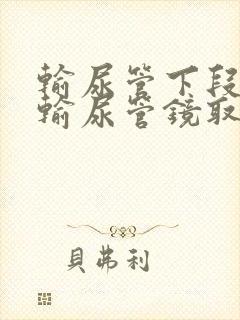 输尿管下段结石输尿管镜取石